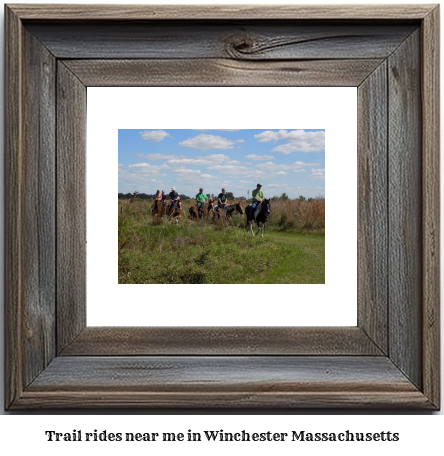 trail rides near me in Winchester, Massachusetts